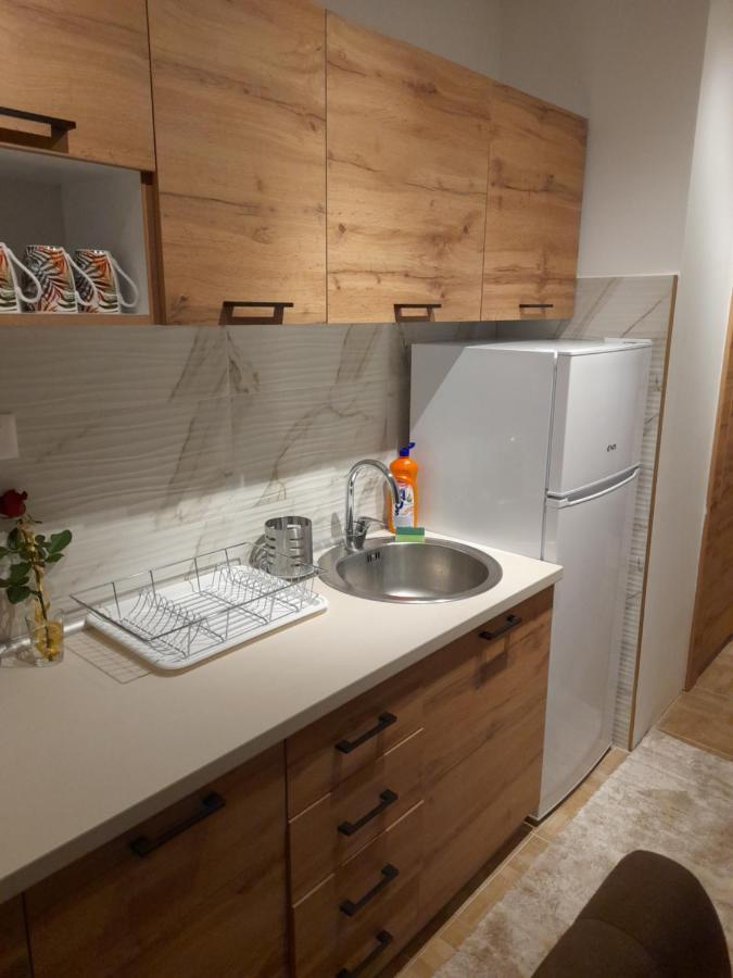 Holiday Apartaments 2 Nis Bagian luar foto